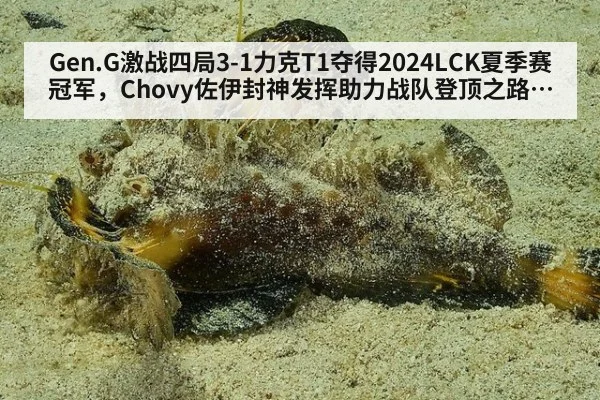 Gen.G激战四局3-1力克T1夺得2024LCK夏季赛冠军，Chovy佐伊封神发挥助力战队登顶之路深度解读